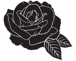 Silhouette rose flower