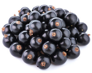 black currant