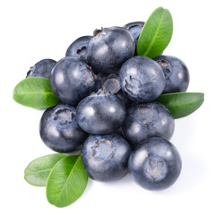 blueberries isolated