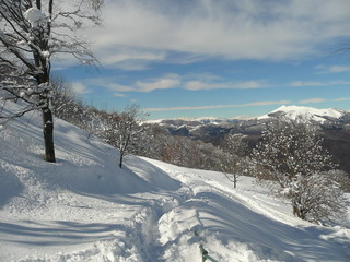 winter landscape