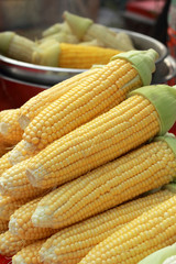 Sweet corn in the market