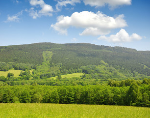 Fototapeta na wymiar National park Sumava - Czech Republic
