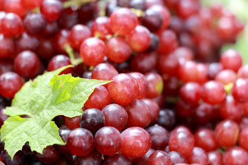 Fresh grapes with green leaves on a background.