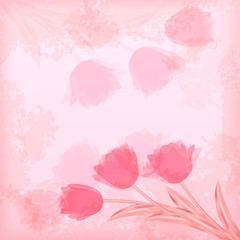 Greeting сard with tulip.