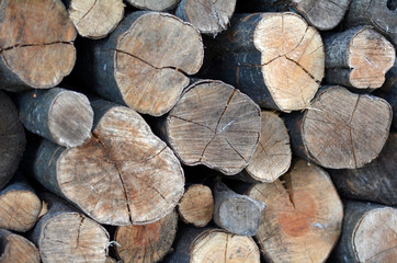 Firewood logs