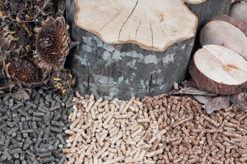 Biomass