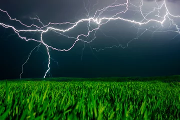 Papier Peint photo Orage Lightning above the field
