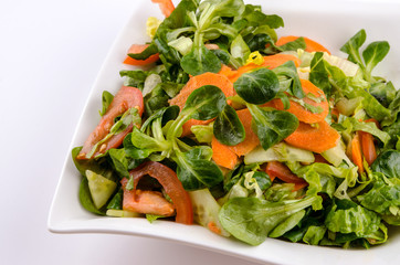 The vegetables salad with lamb´s lettuce