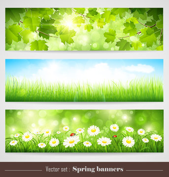 Spring banners. Vector