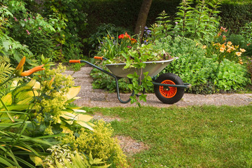 Cleaning up garden in summer