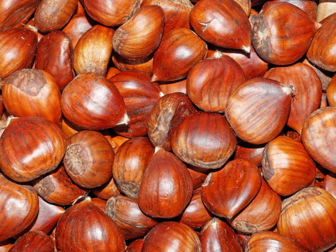 Uncooked chestnuts