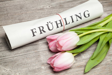frühling zeitung
