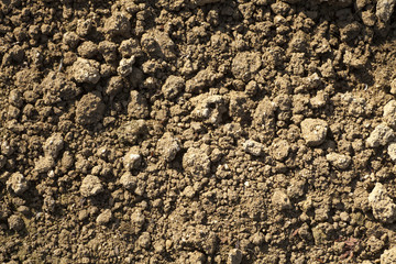 brown soil