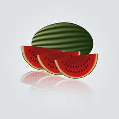 colorful melon eps10