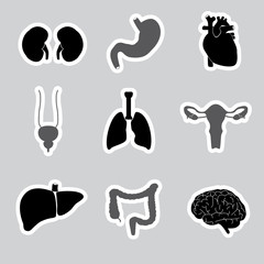 internal human body organs stickers eps10