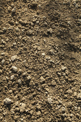 brown soil