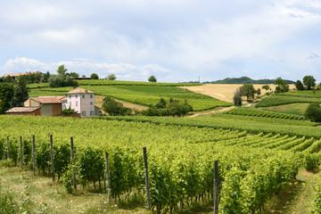 Fototapeta na wymiar Monferrato (Włochy)