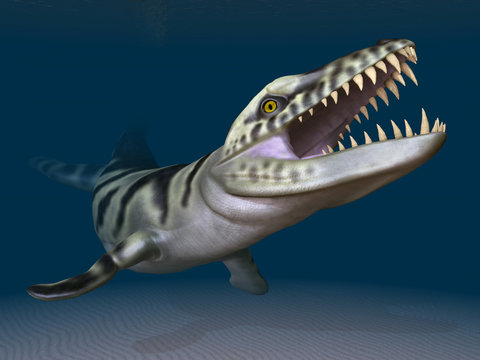 Prehistoric Crocodile Dakosaurus