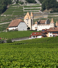Fototapeta na wymiar castle and vineyard in Aigle near lake Geneva, Switzerland