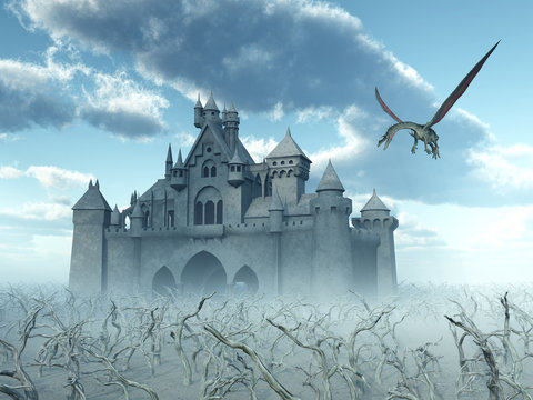 Castle and Flying Dragon
