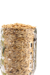 Close up of glass with barley.