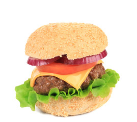 Big appetizing fast food hamburger.
