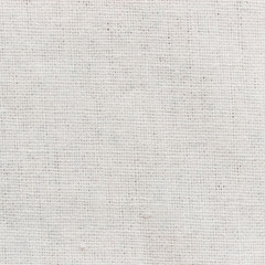 White canvas background or texture