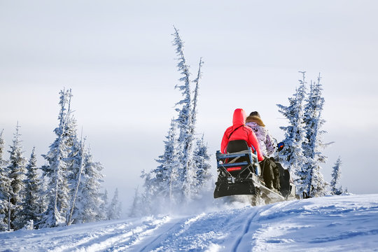 snowmobiling in forest