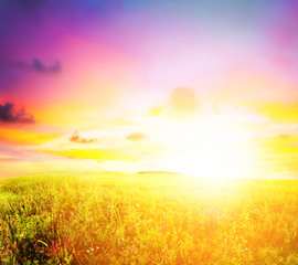 Obraz na płótnie Canvas meadow sunset
