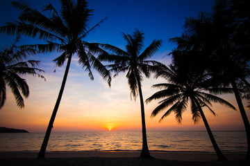 Naklejka na ściany i meble Beautiful sunset at tropical beach with palm trees