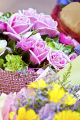Roses as graduation gift