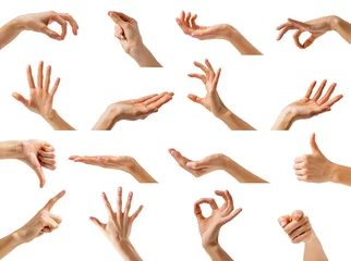 Fotobehang Collection of women hands showing different gestures © Kaspars Grinvalds