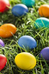 Colorful Dyed Eggs for Easter