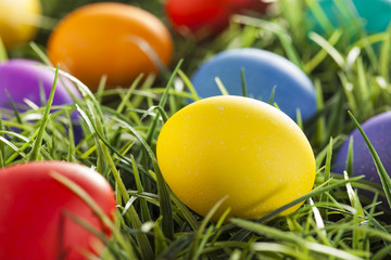 Colorful Dyed Eggs for Easter