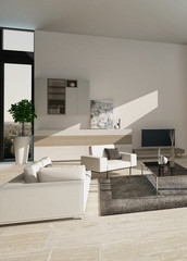 Modern luxury living room interior with nice furniture