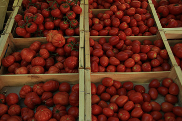 Tomatoes at a Provencal market