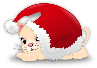 Santa kitten