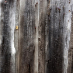 Drewno © Zbyszek Nowak