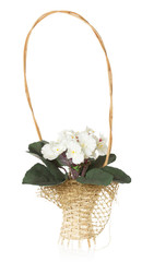 Fototapeta na wymiar basket of flowers on a white background