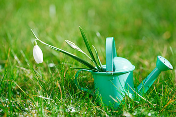 time for garden now…. decorative small gardening tools and sno