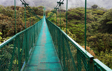 Hanging Bridges