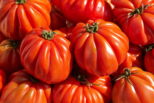 Bunch of red tomato RAF