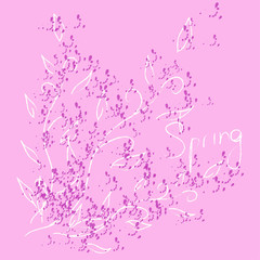 vector delicate spring flower on background