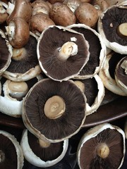 tama&ntilde;os y formas