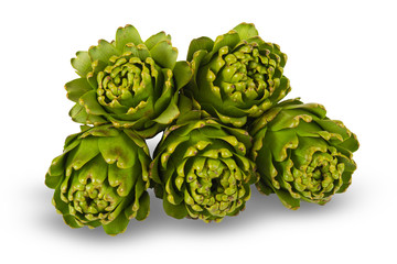 Artichokes on isolated on white background