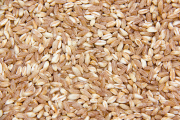 Sfondo farro