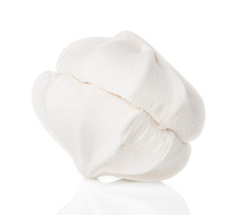 white zephyr isolated on white background