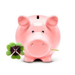 Schweinchen mit Kleeblatt