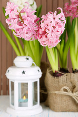 Hyacinth flowers in pots on table on wooden background
