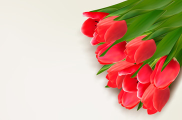 Flower background with red tulips and sample text. Vector illust